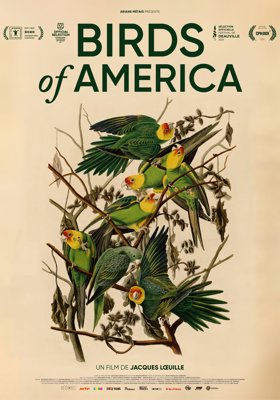 Birds of America