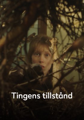 Tingens tillstånd