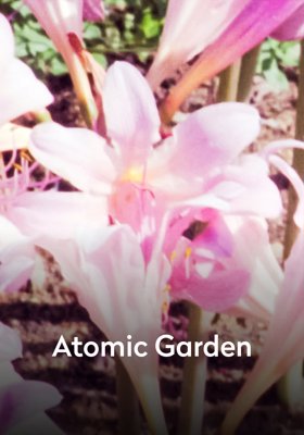 Atomic Garden