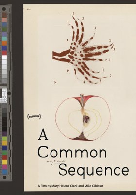 A Common Sequence