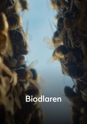 Biodlaren