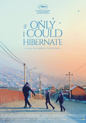 If Only I Could Hibernate