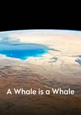 A Whale Is A Whale Is A Whale