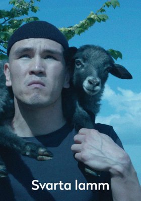 Svarta lamm