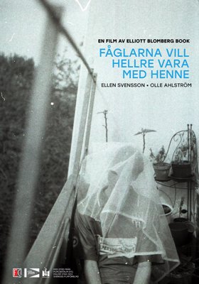 Fåglarna vill hellre vara med henne