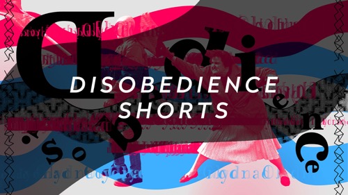 Disobedience shorts